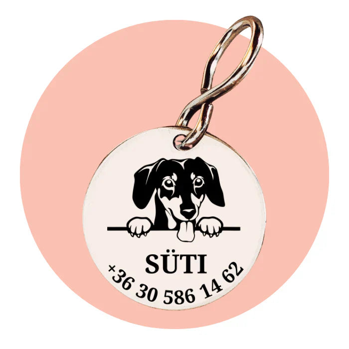 gravírozott kutyabiléták