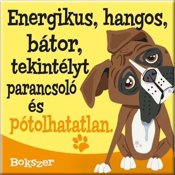 Kutyás hűtőmágnes, kutyás gazdiknak, Boxer
