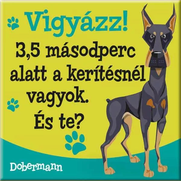Kutyás hűtőmágnes, kutyás gazdiknak, Dobermann