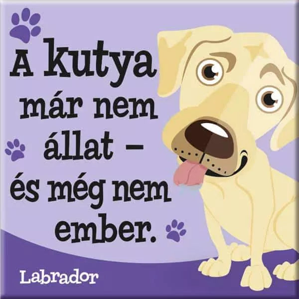 Kutyás hűtőmágnes, kutyás gazdiknak, Labrador