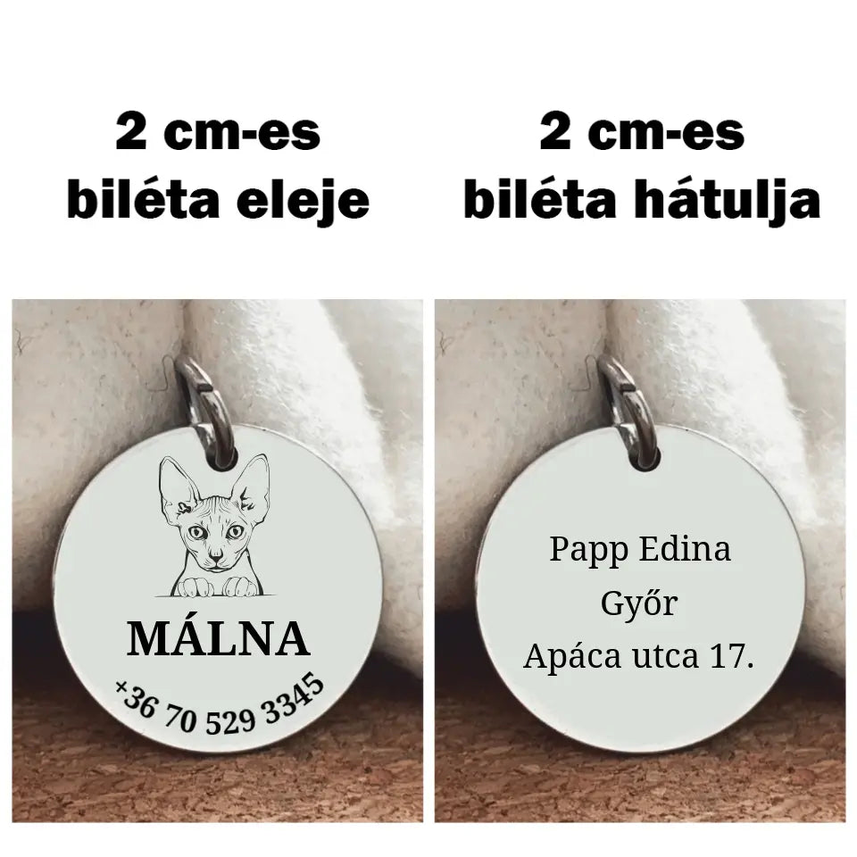 Egyedi biléta Szfinxnek