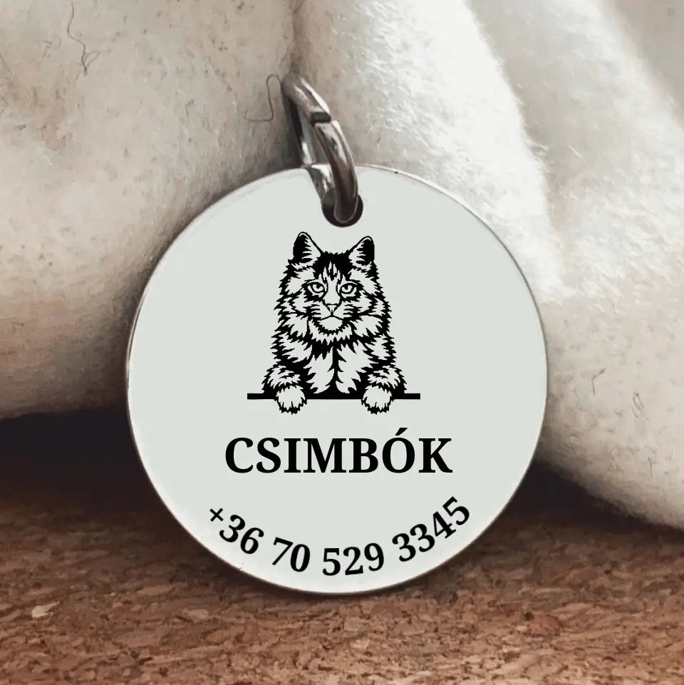 Egyedi biléta Maine Coon cicának