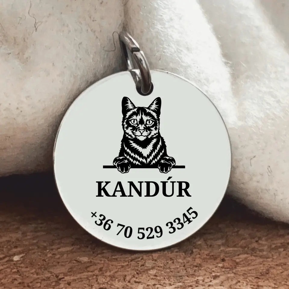 Egyedi biléta Házi cicának