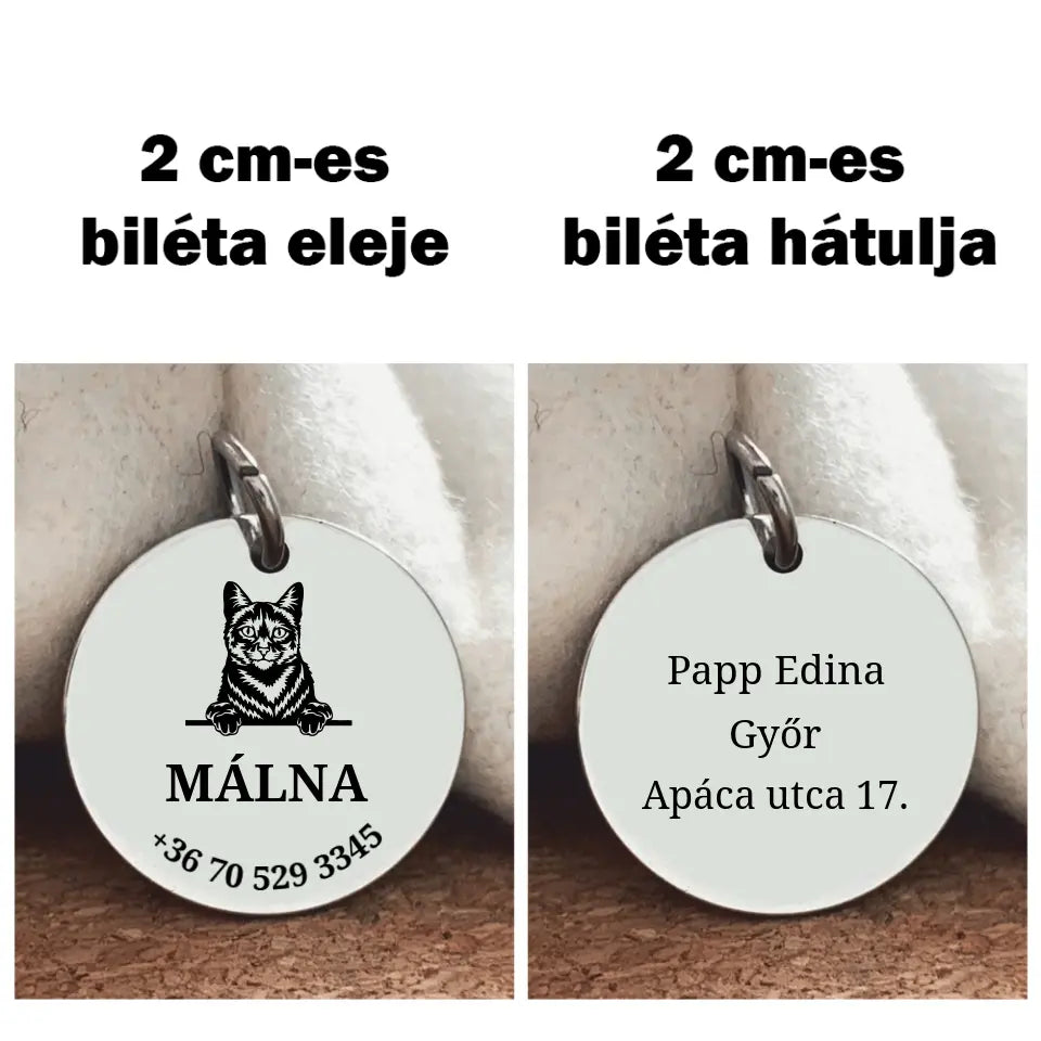 Házi cica biléta