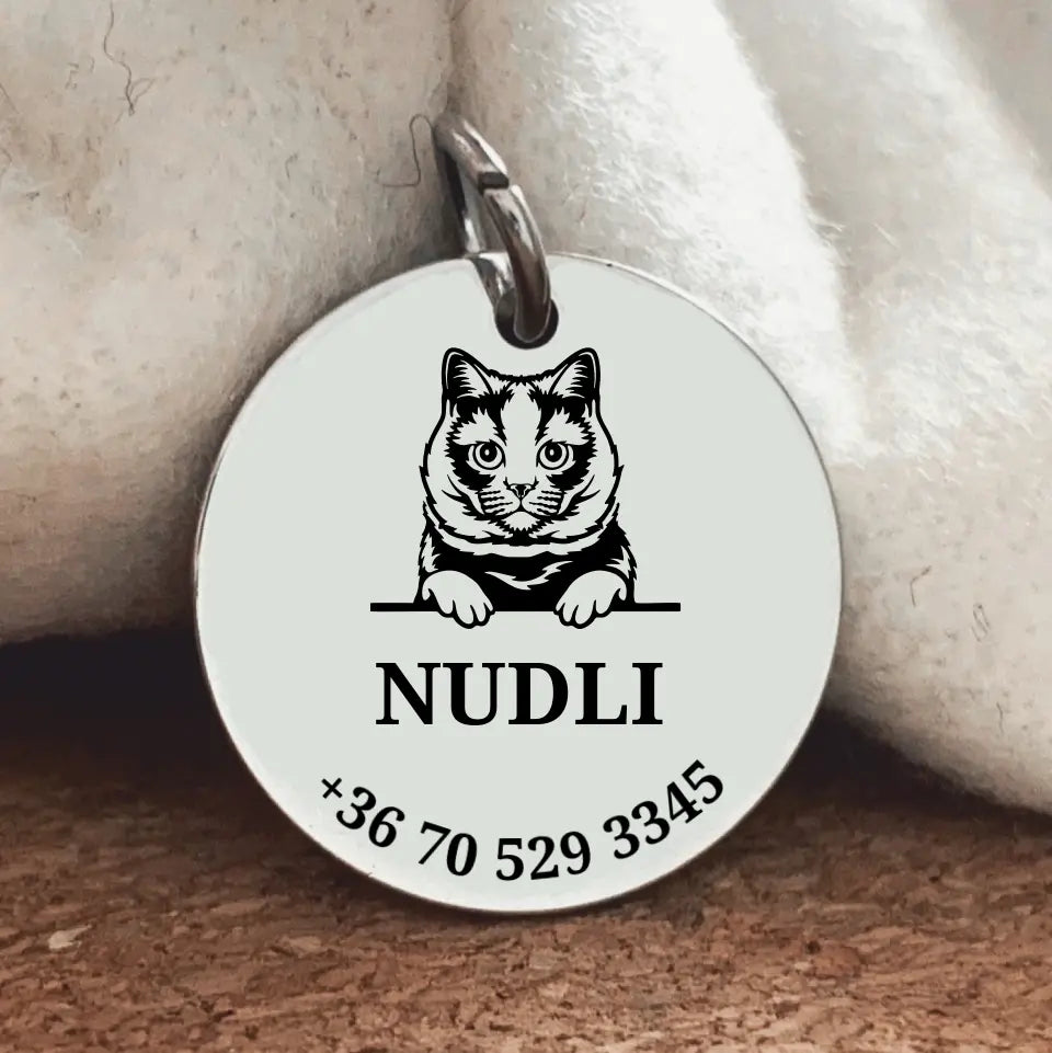 Egyedi biléta Brit rövidszőrű cicának