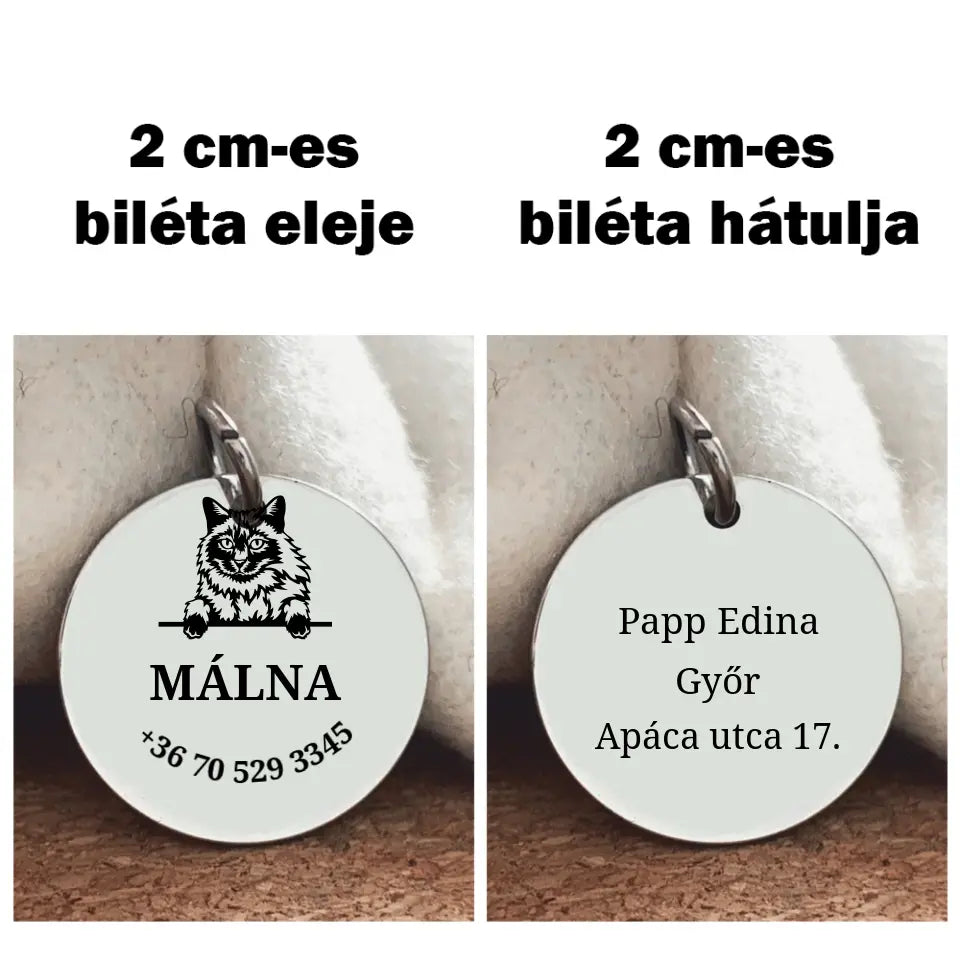 Biléta Balinéz macskáknak