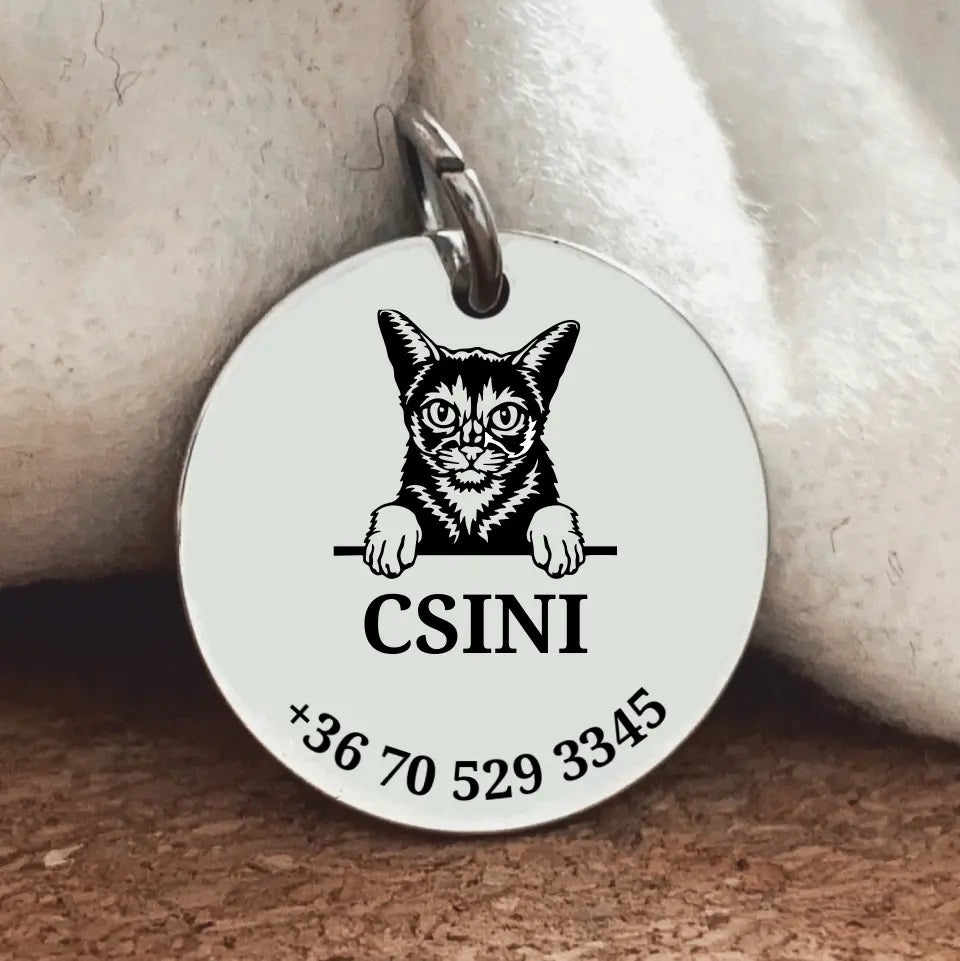 Egyedi biléta Abesszin cicának