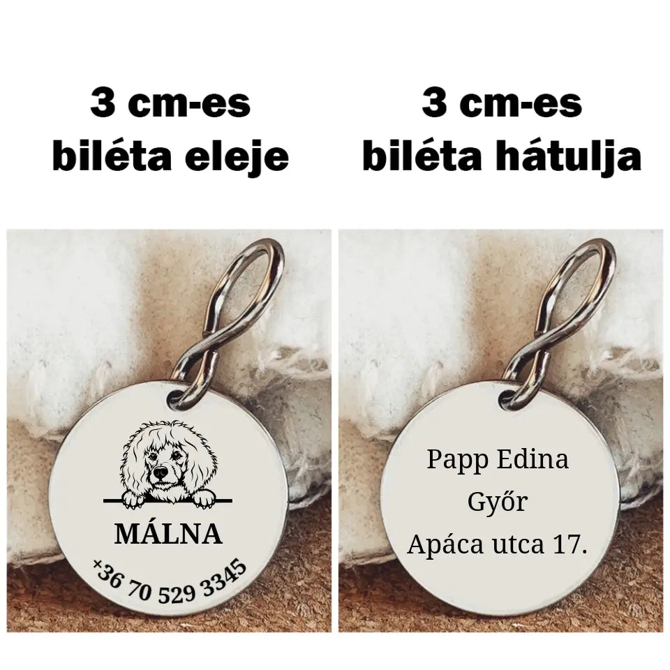 Uszkár kutyabiléta egyedi gravírozással