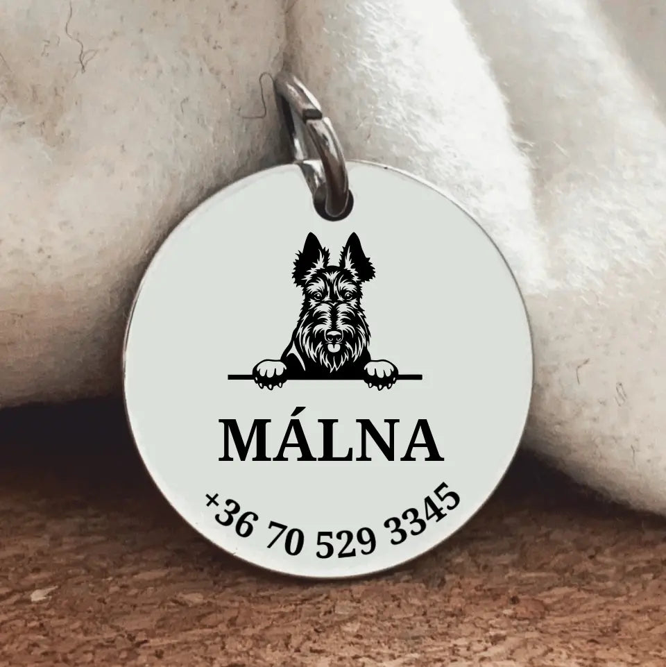 Skót terrier egyedi kutyabiléta