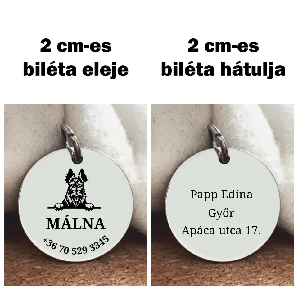 gravírozott Skót terrier kutyabiléta
