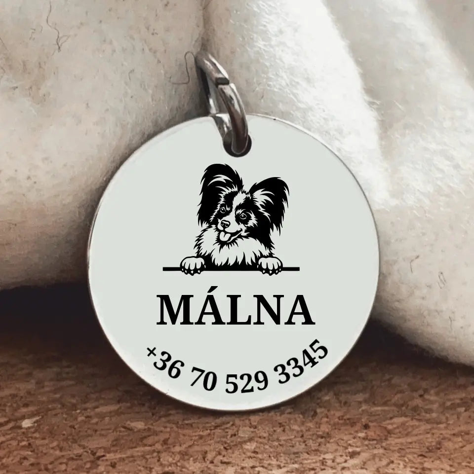 Papillon kutyabiléta 2 méretben