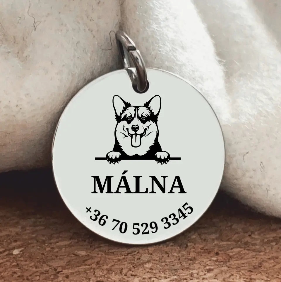 Egyedi biléta Corgi kutyának gravírozással
