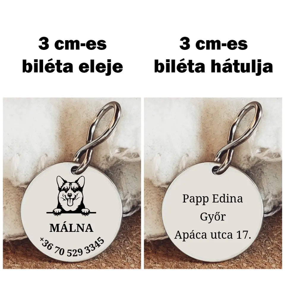 Egyedi biléta Corgi kutyának a gazdi adataival