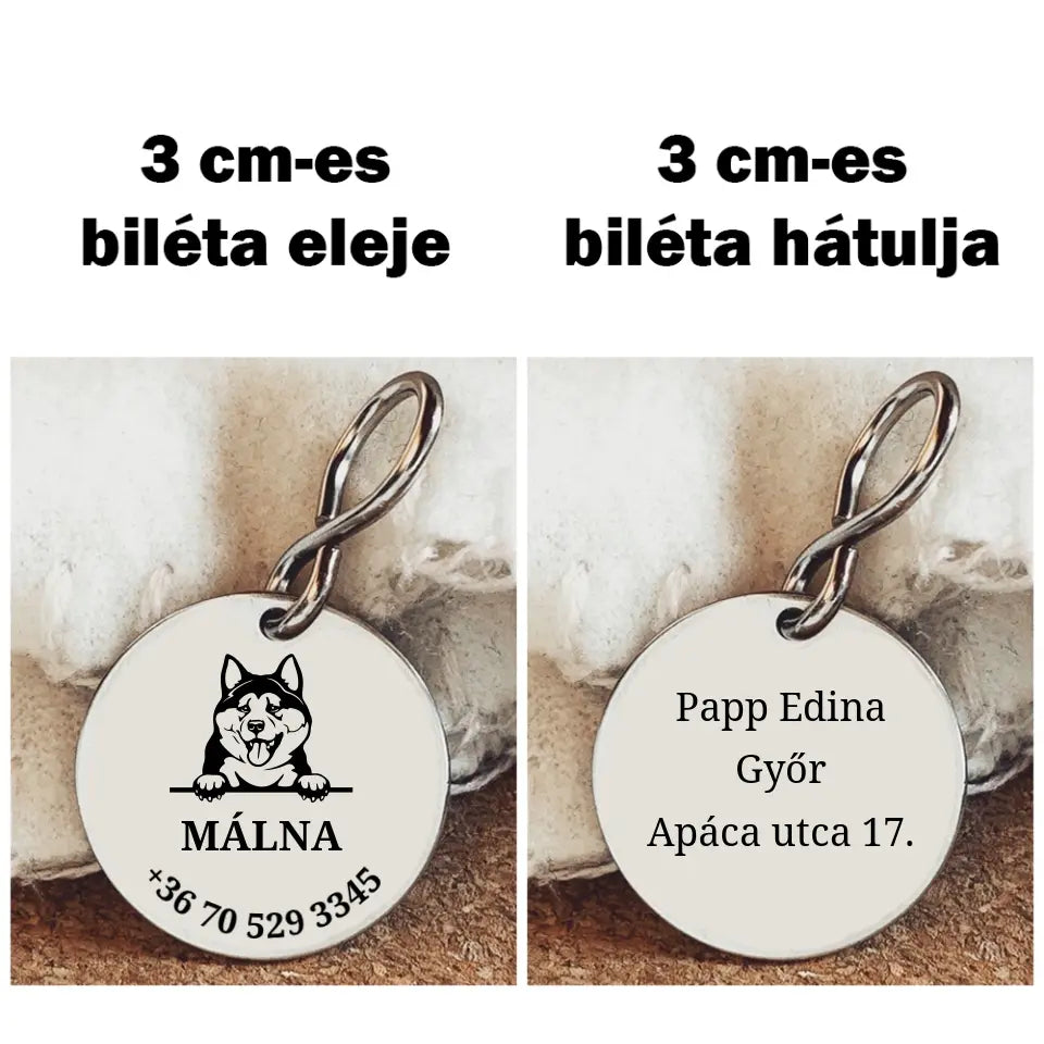 Biléta Akita kutyusnak a gazdi adataival