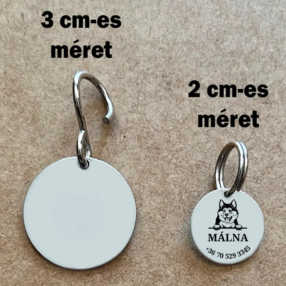 Biléta Akita kutyusnak nemesacélból