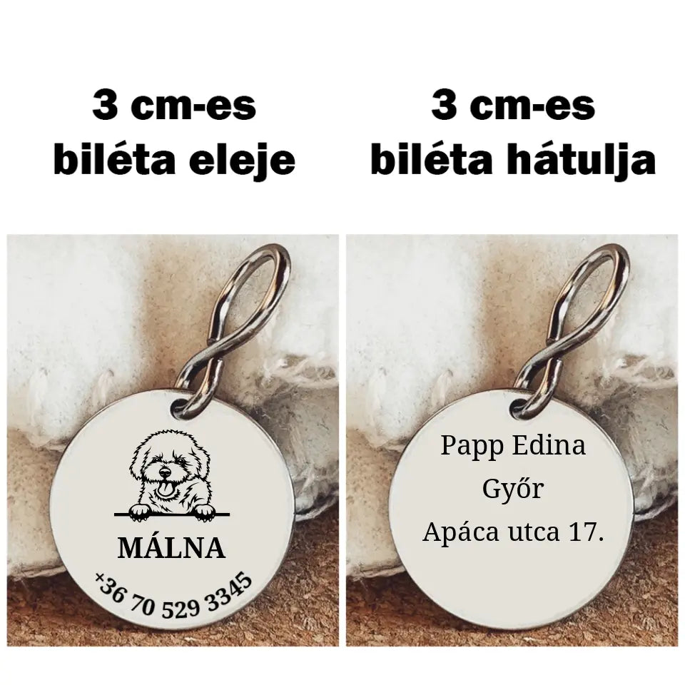 Bichon kutyabiléta egyedi grafikával