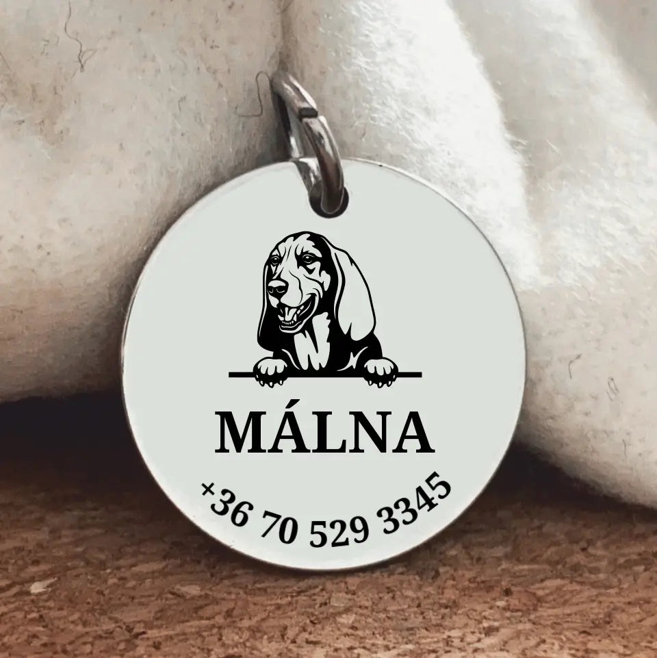 Basset hound kutyabiléta névvel és telefonszámmal