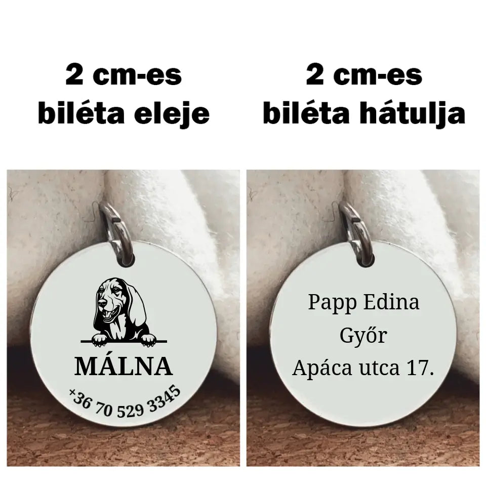 Basset hound kutyabiléta, nemesacél medál S kampóval