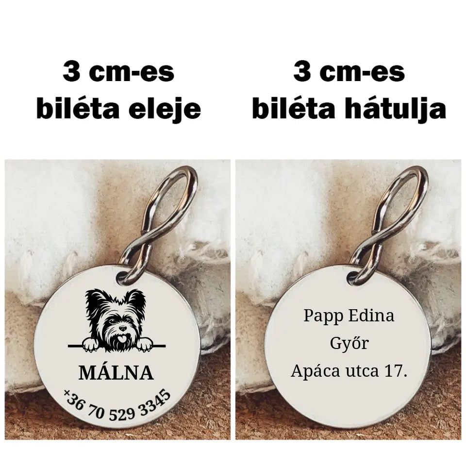 Yorkshire kutya biléta a gazdi adataival