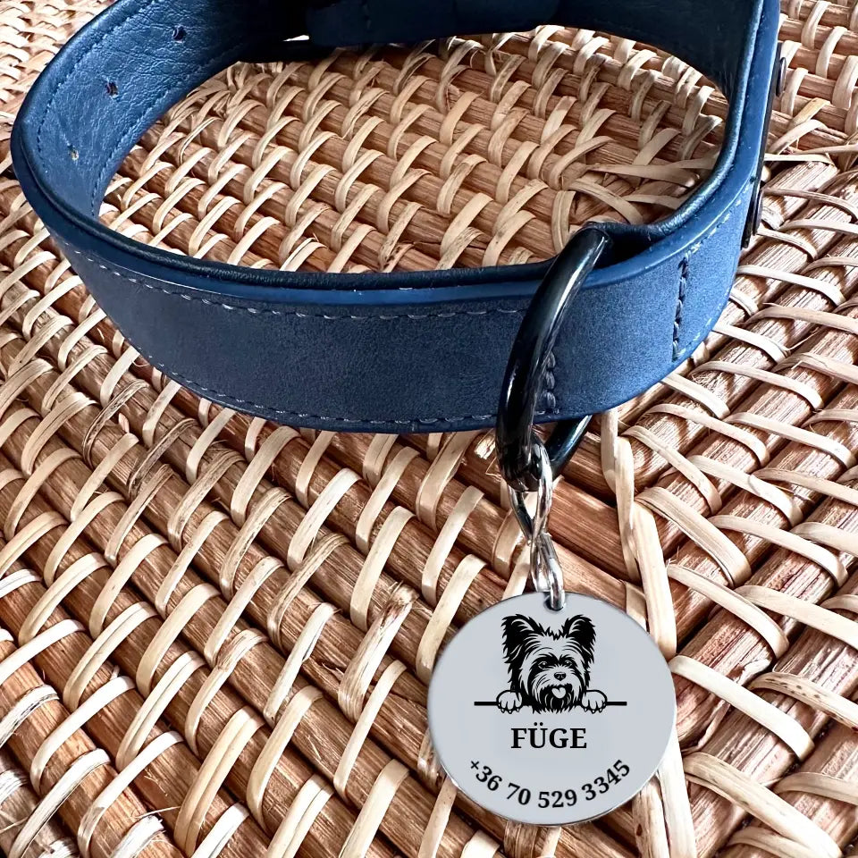 Yorkshire kutya biléta egyedi biléta