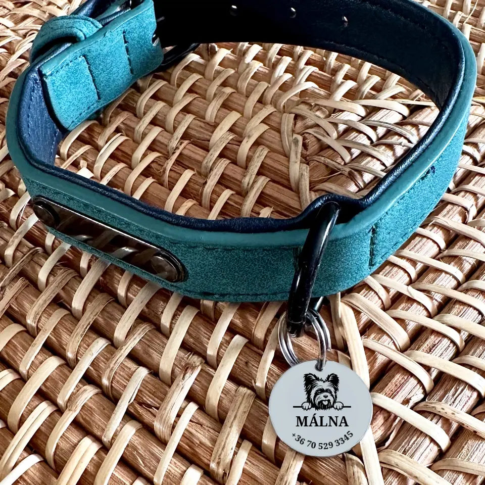 Yorkshire kutya biléta yorkiknak