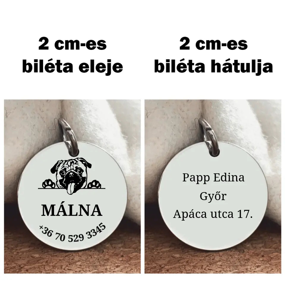 Kutyabiléta Mopsznak a gazdi adataival