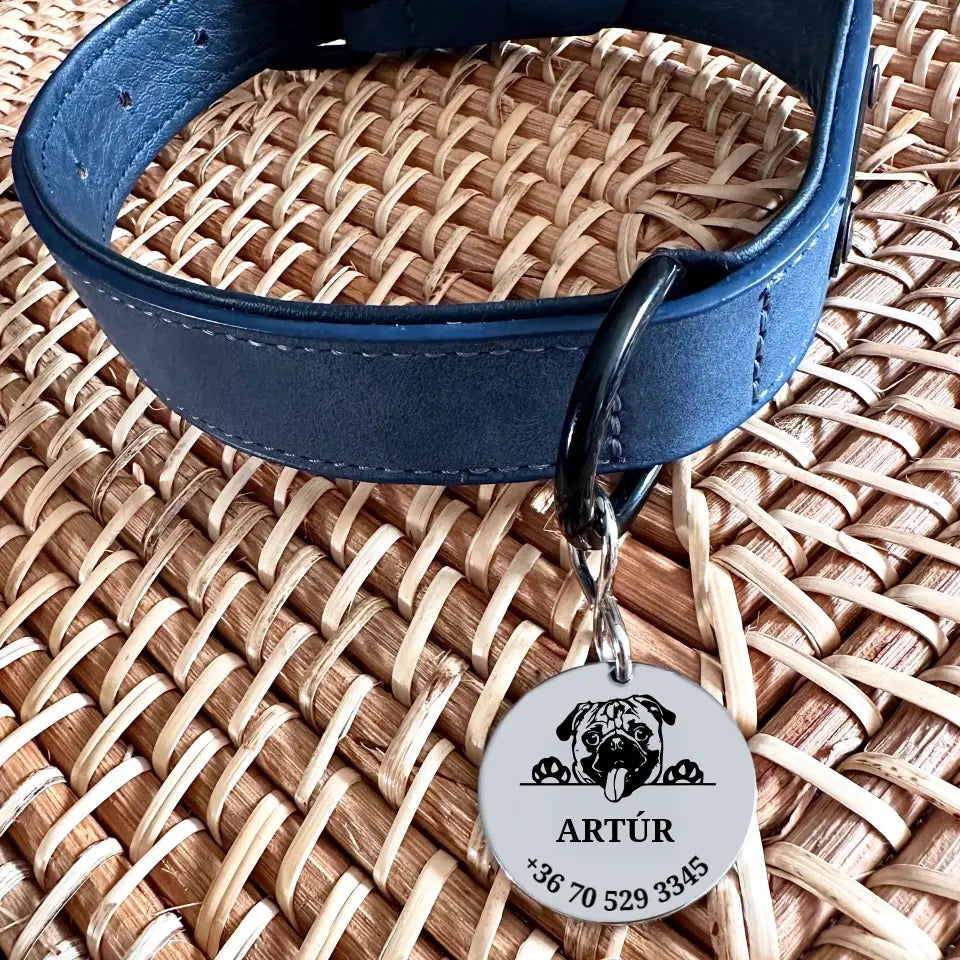 Kutyabiléta mopsz grafikával