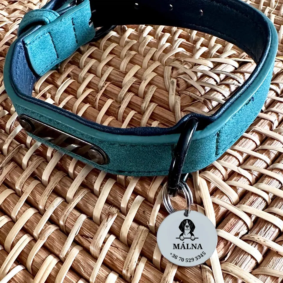  biléta Beagle kutyának