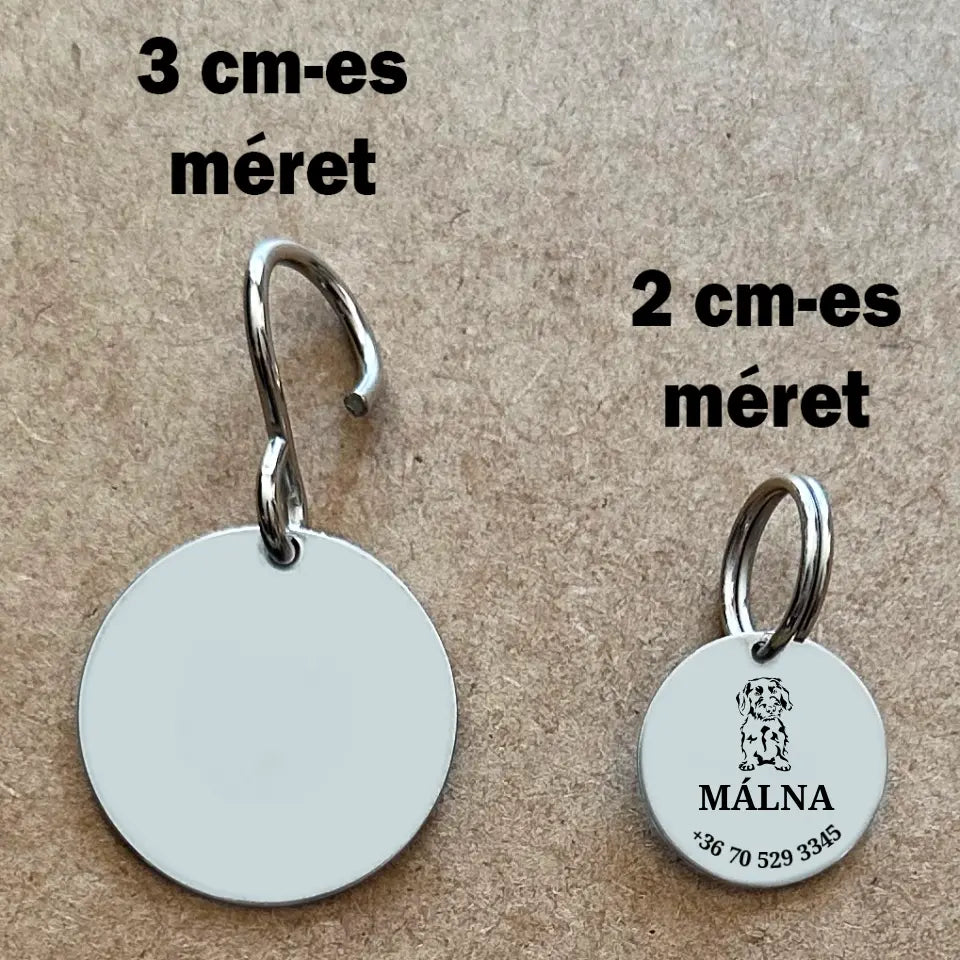 Egyedi biléta Szálkás szőrű tacsiknak a gazdi adataival