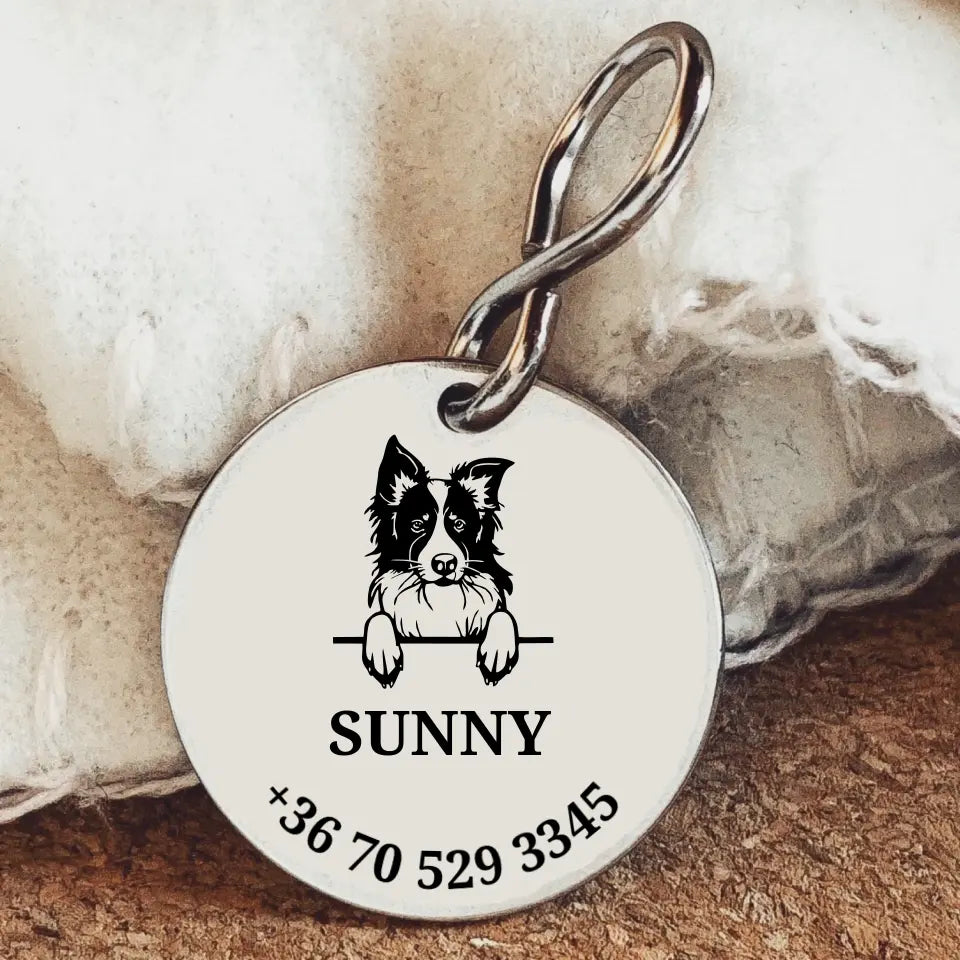 Egyedi biléta Border collie kutyusnak