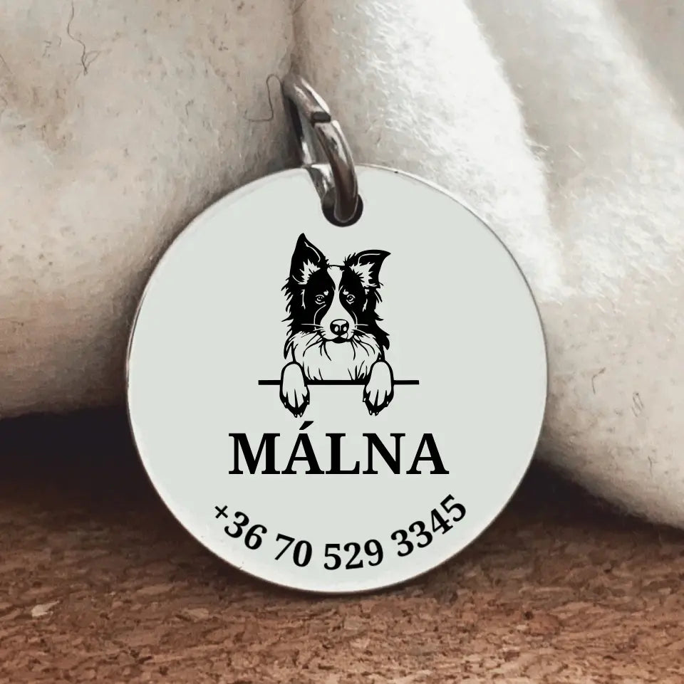Egyedi biléta Border collie kutyusnak, nemesacél medállal