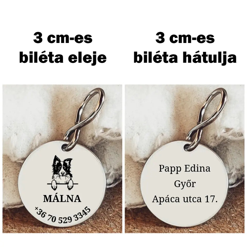 biléta Border collie kutyusnak