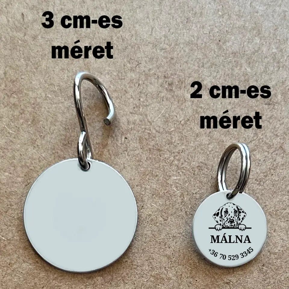 Biléta dalmata kutyáknak, egyedi medál