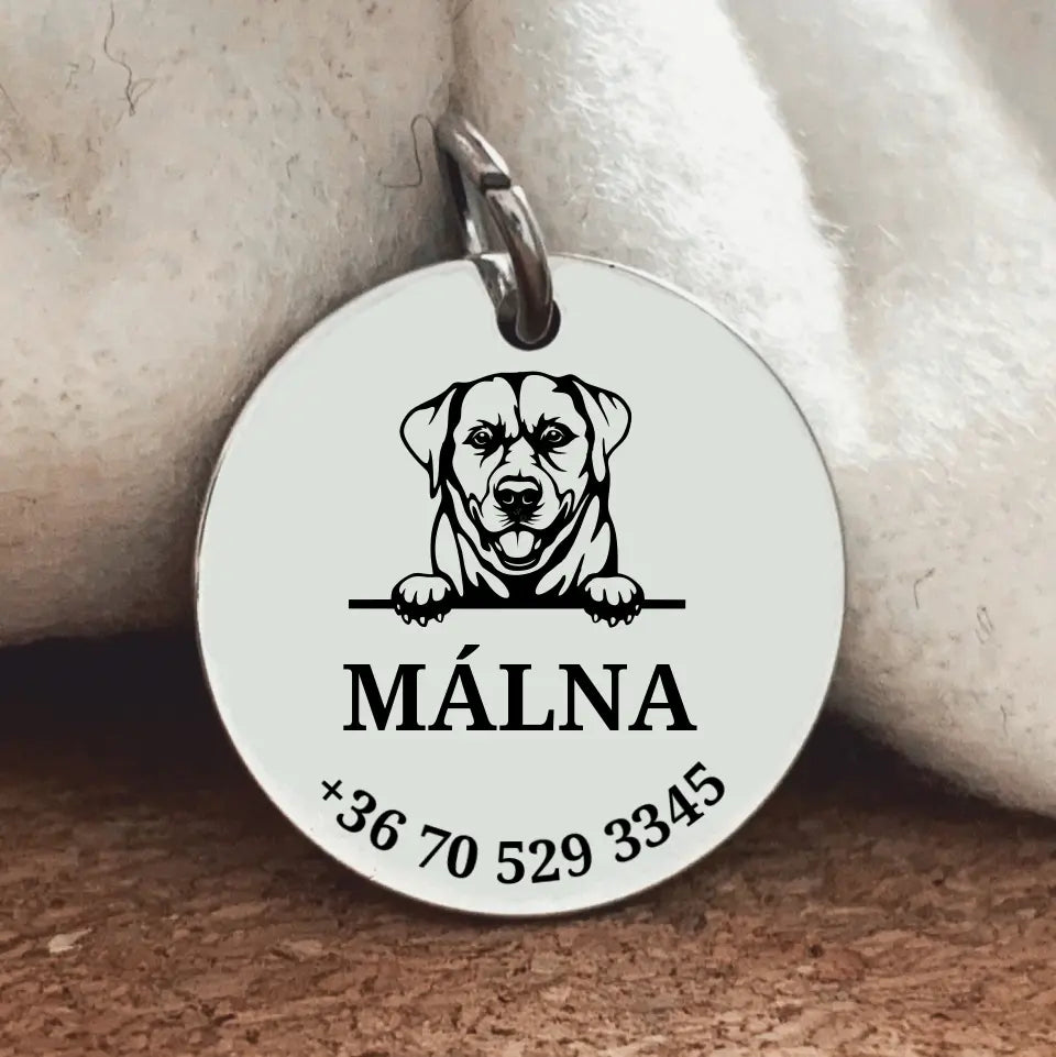 Biléta Labradornak, nemesacél medál