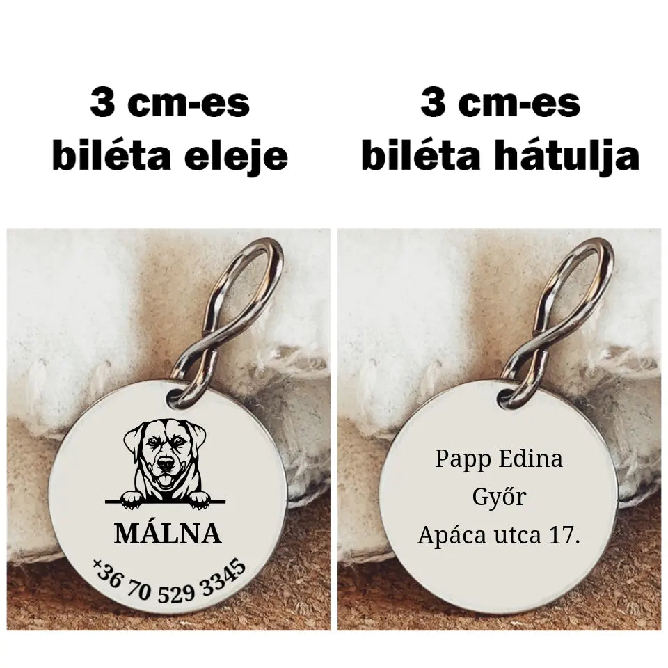 Biléta Labradornak, egyedi medál