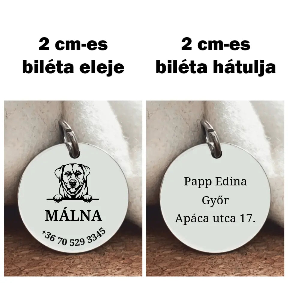 Biléta Labradornak 2 méretben