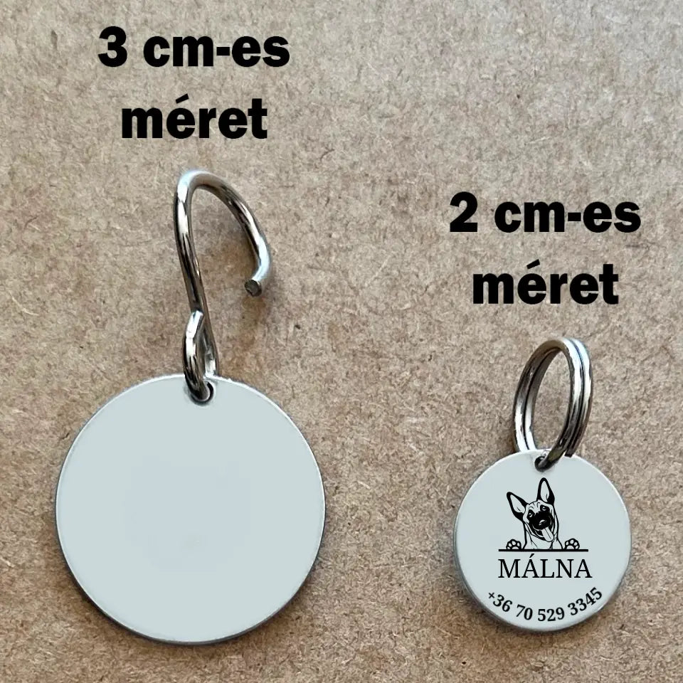 Biléta Belga juhásznak