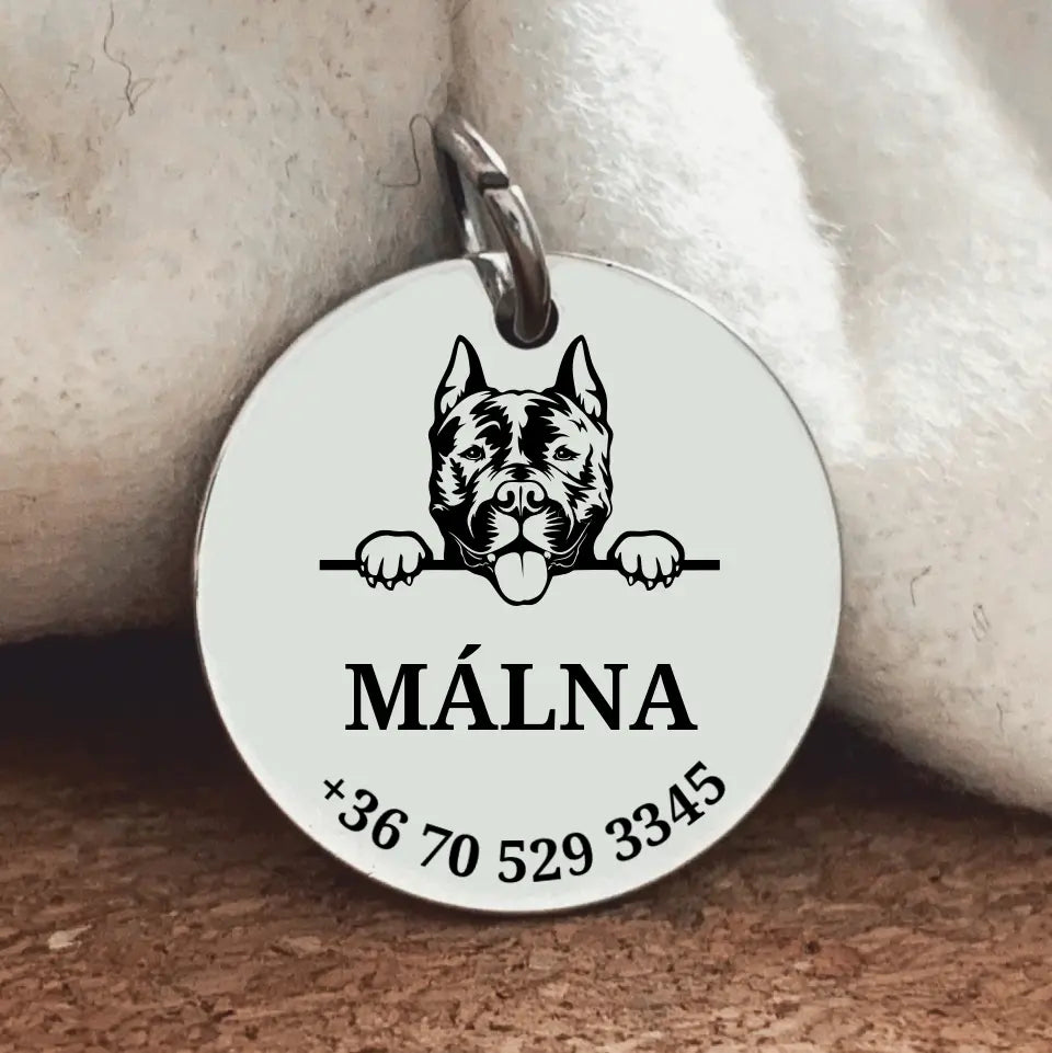 Amstaff biléta gravírozással