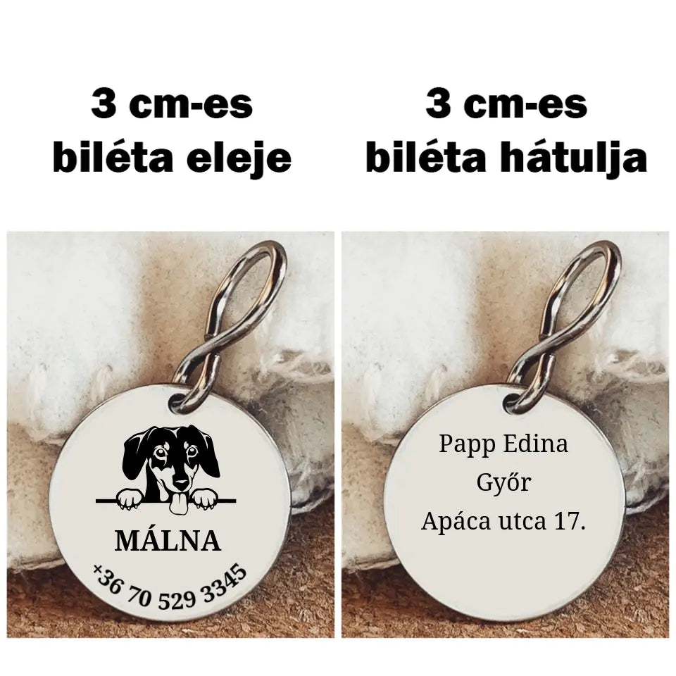 Biléta tacskónak 2 méretben