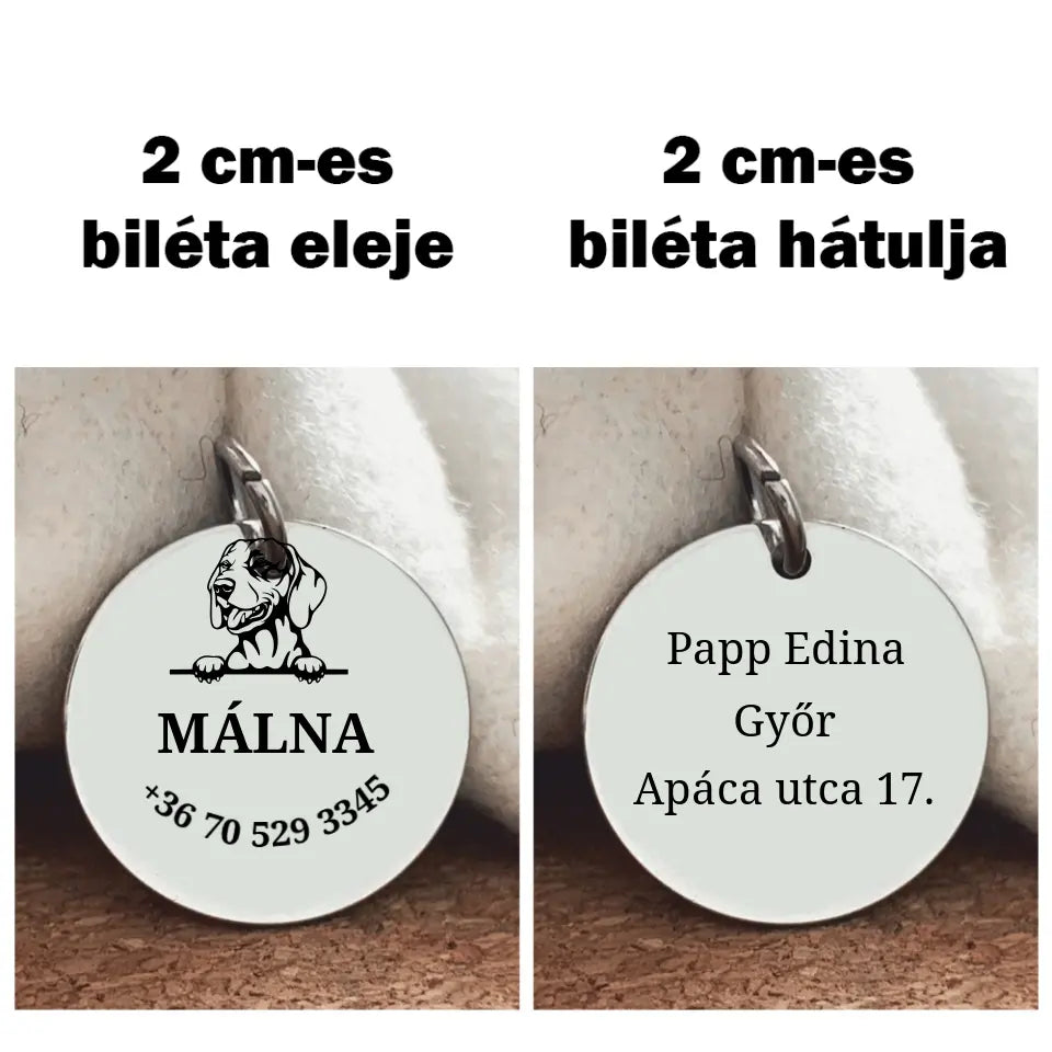Kutya medál - Vizslás a gazdi adataival