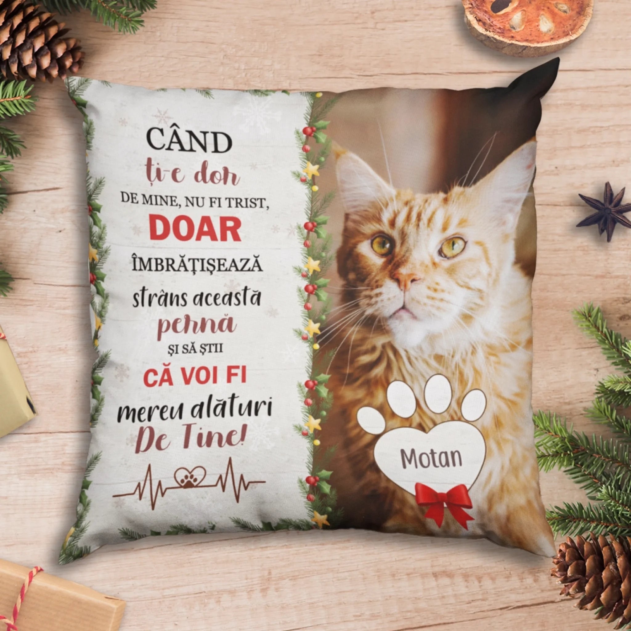 cica parna_prview_mockup_RO